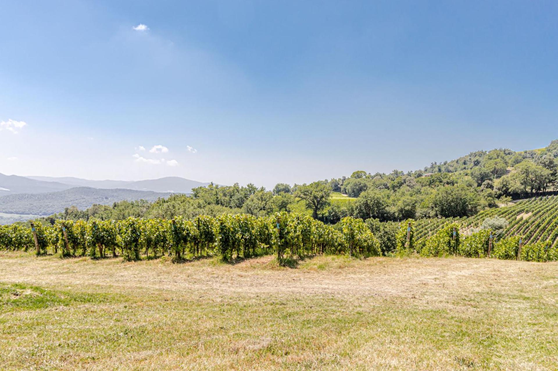 Chateau La Siroque Montecatini Val di Cecina Zewnętrze zdjęcie